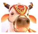 PG SLOT - Genesha Forture - cow